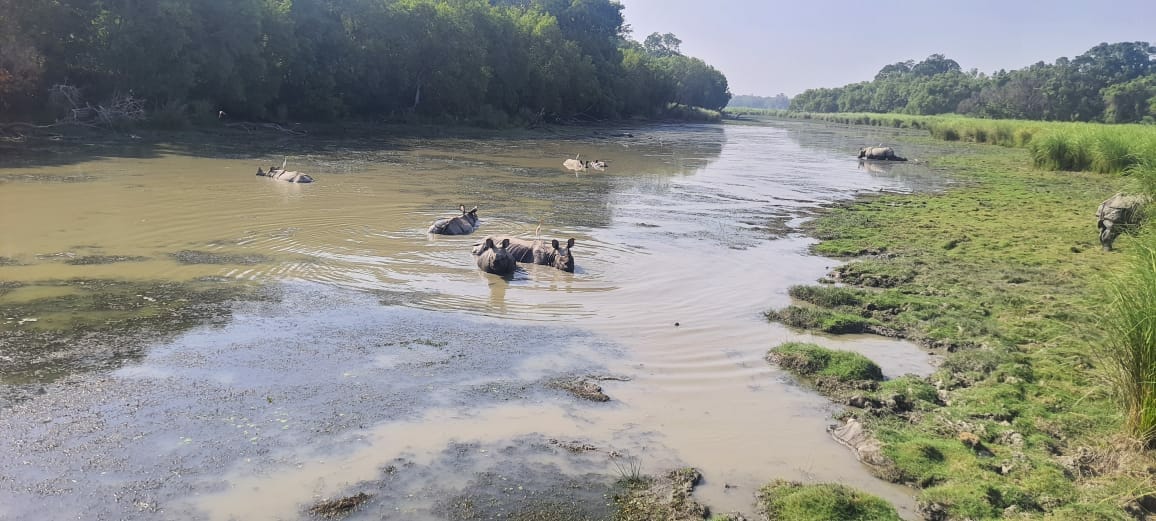 DTR administration installed 40 cameras around the waterhole