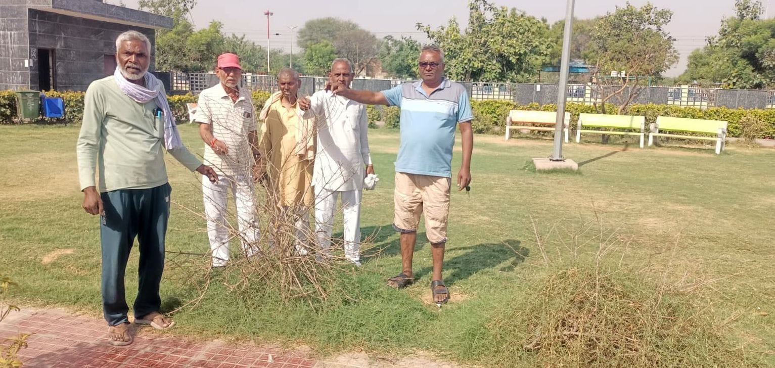 Condition of Bhamashah Park is deplorable, anger expressed against administration