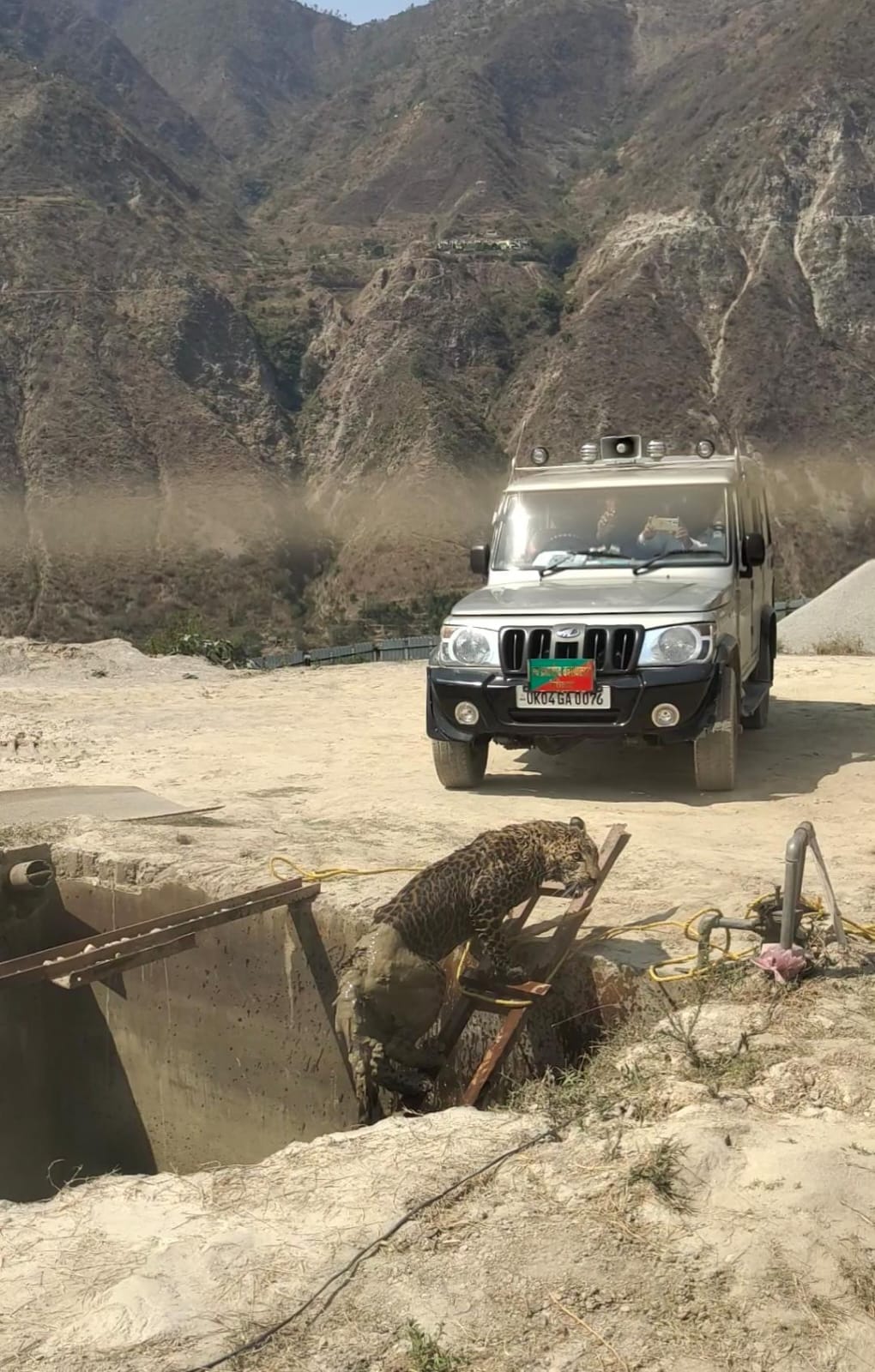 Leopard fell into water tank, rescued and came out in four hours