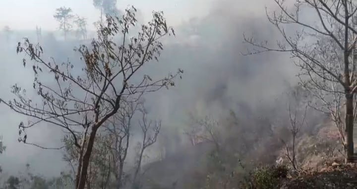 Fire broke out in the forests near Dharamsal Mahanta, supply stopped due to burning of power lines.