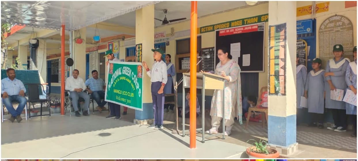 Explain the disadvantages of single use plastic in Jode Amb School.