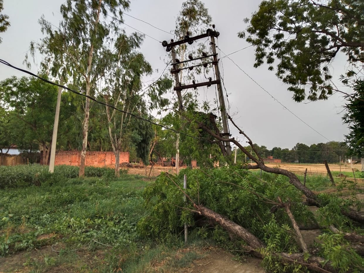 Teenager injured after being hit by a tree that fell during the storm