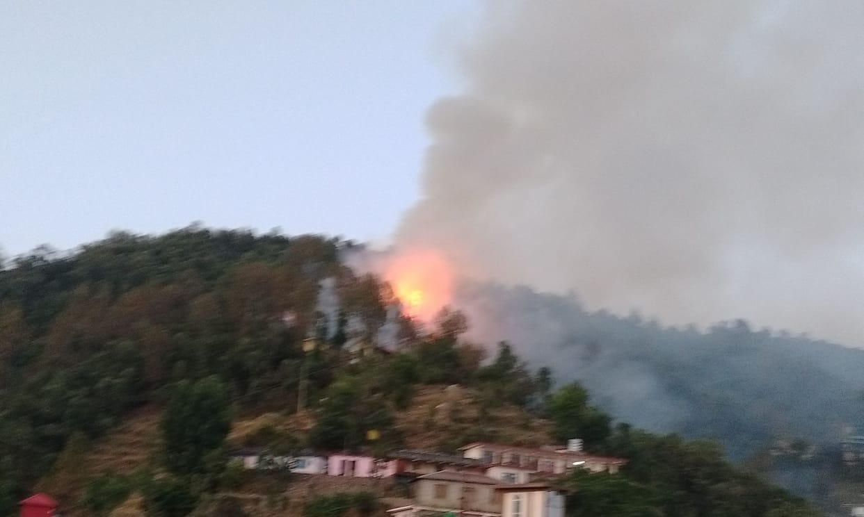 Sewla forest of Chayal has been burning for five days