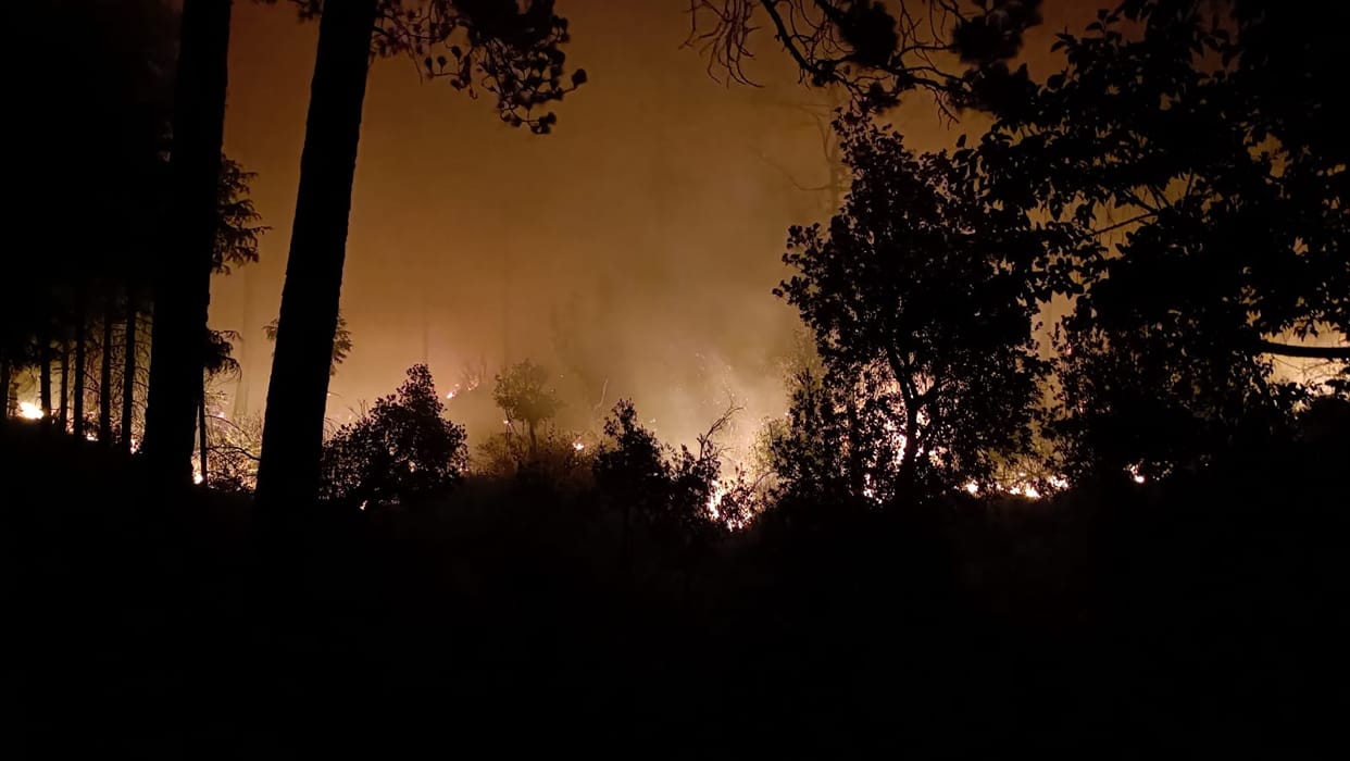Forests have been burning in Mandi for two days, fire broke out at 12 places in 24 hours