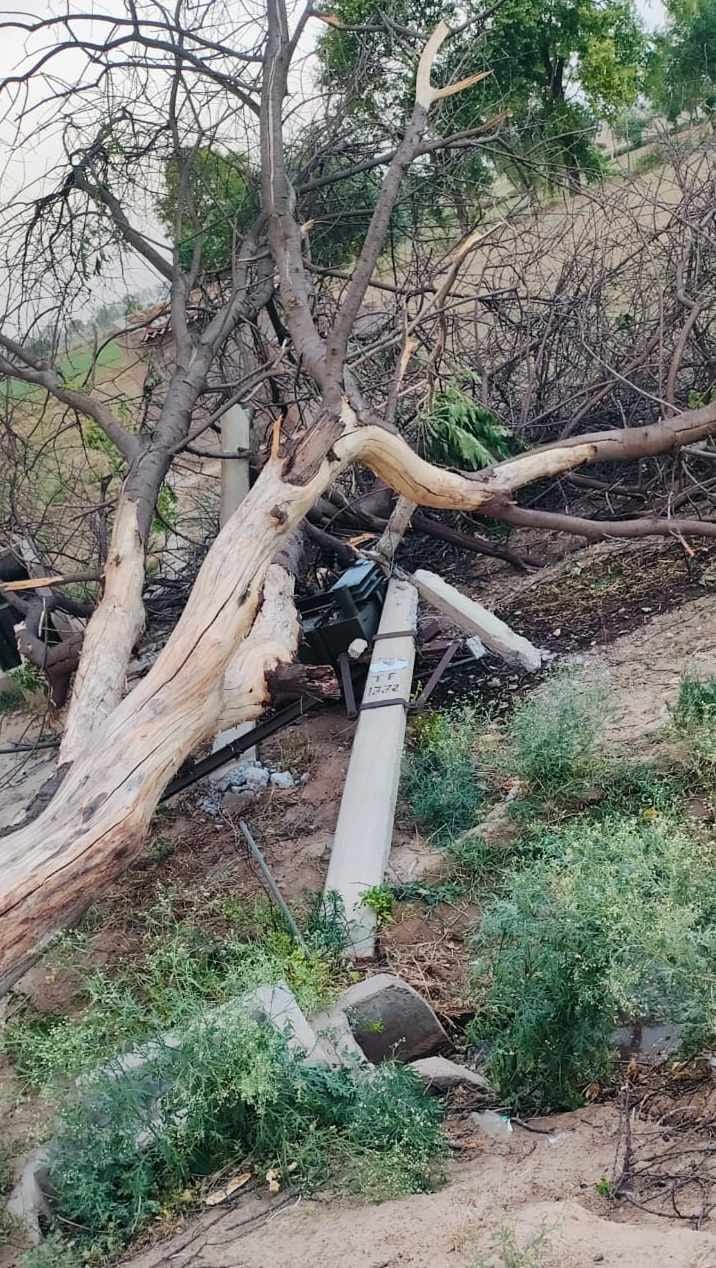 Darkness, poles and trees fell in six villages of Bhuna due to storm.