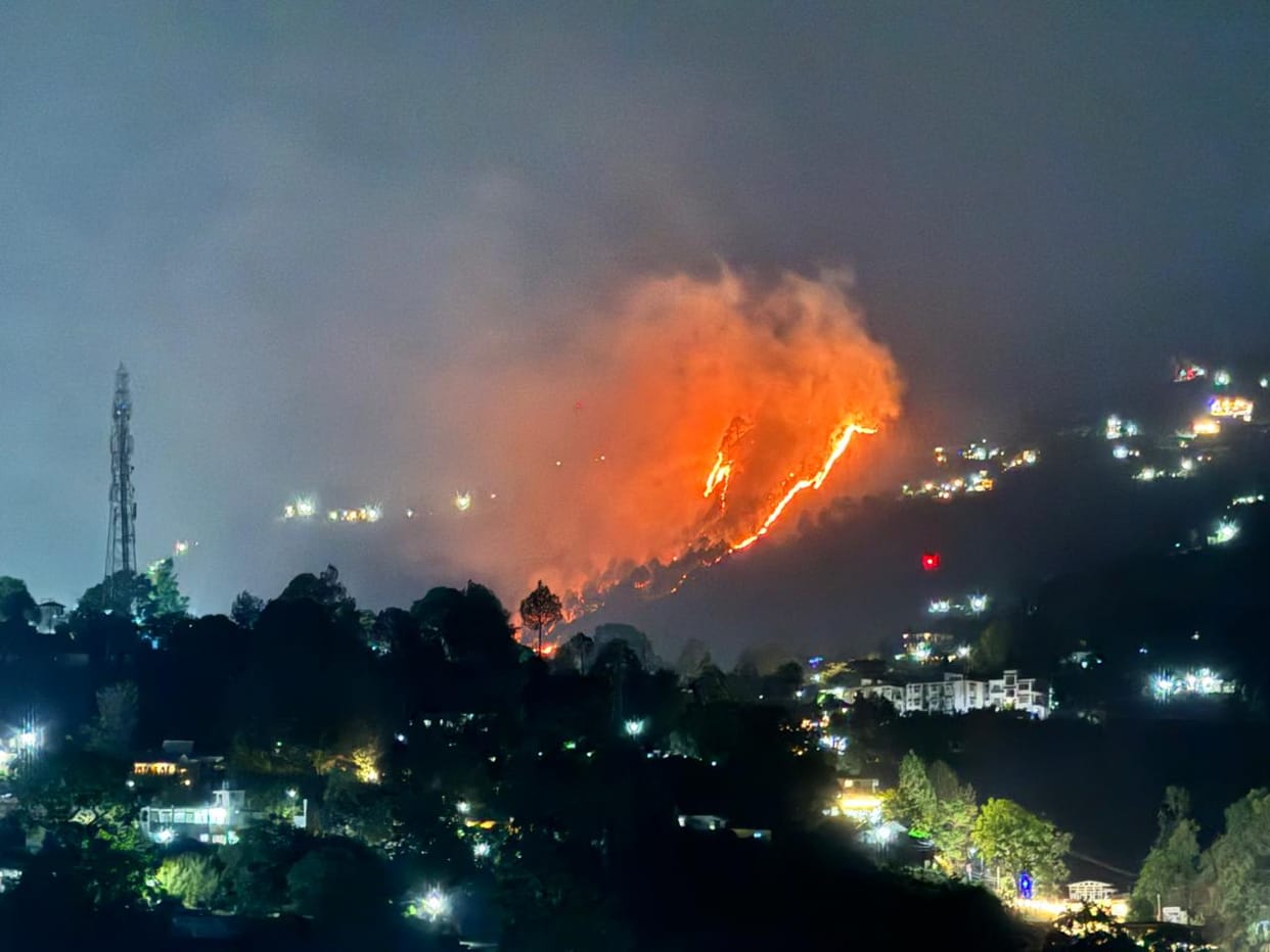 Fire broke out in Farsauli forest