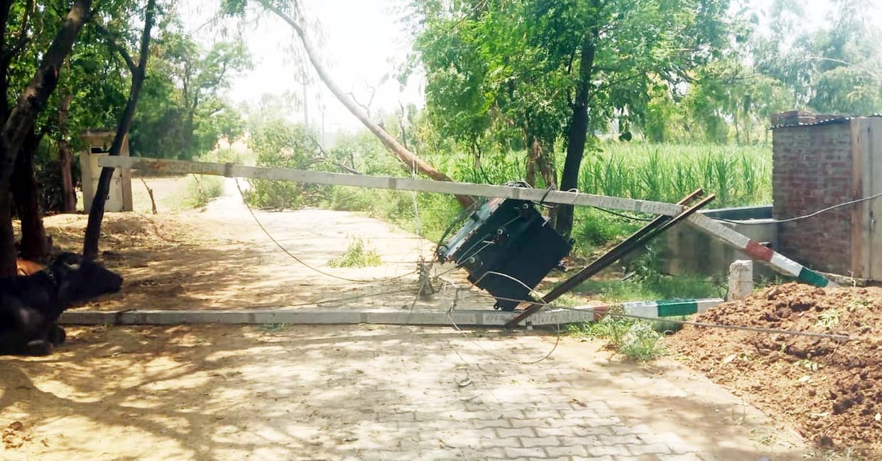 More than a hundred trees collapsed due to storm in Puwayan, power cut for 24 hours