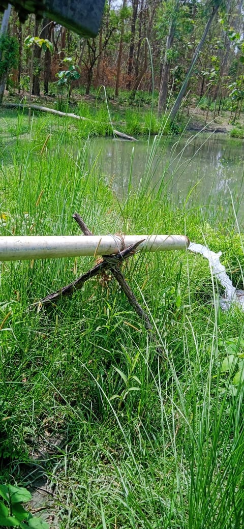 Canals became helpful... water is also being filled in reservoirs