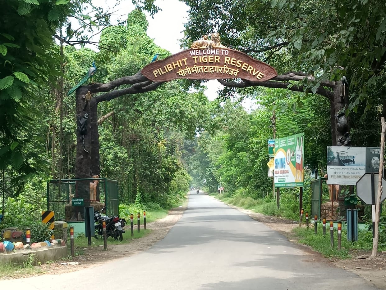 44 villages adjacent to the forest will be illuminated with focus lights