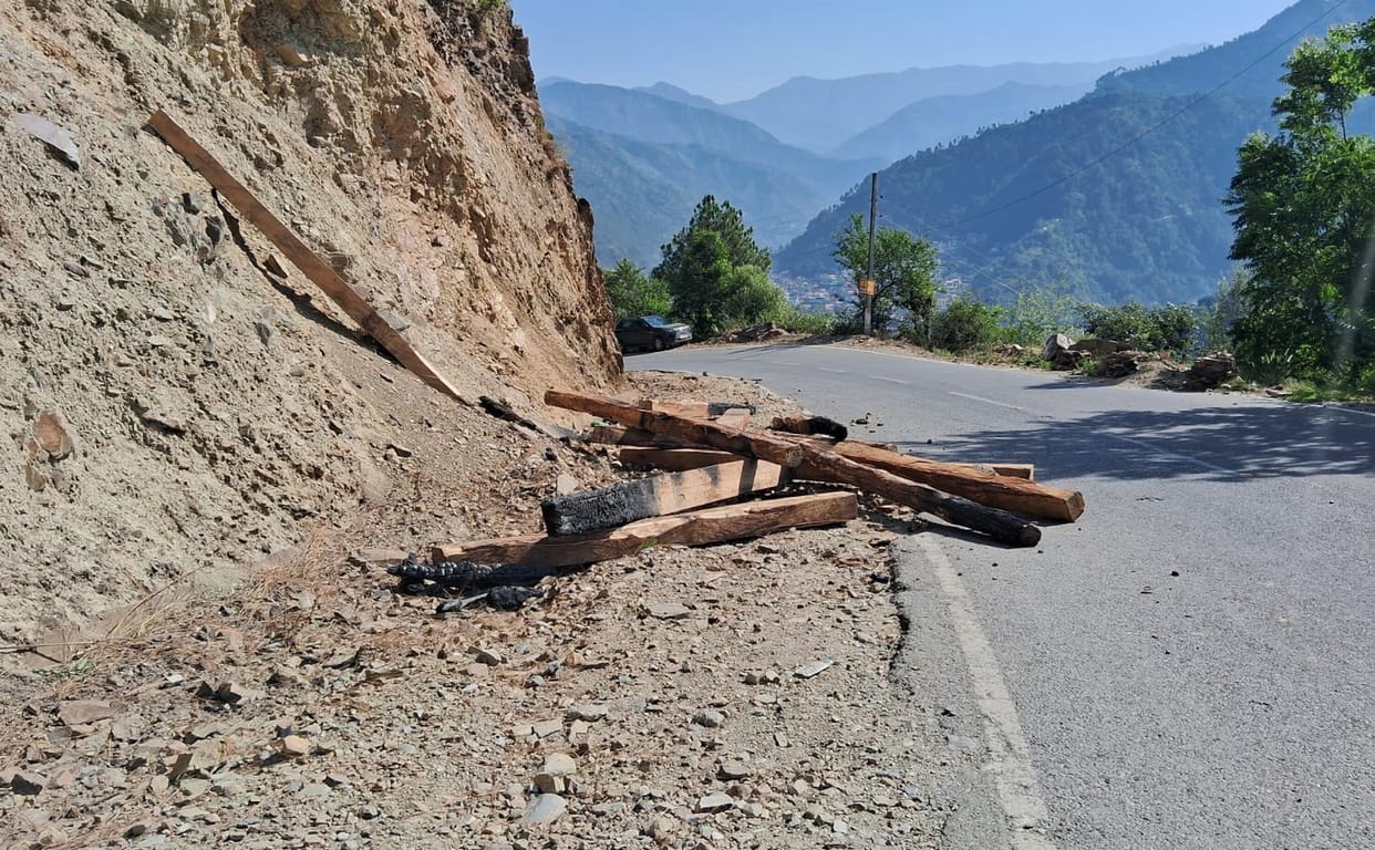Sleepers of 50 pine trees turned into coal due to fire