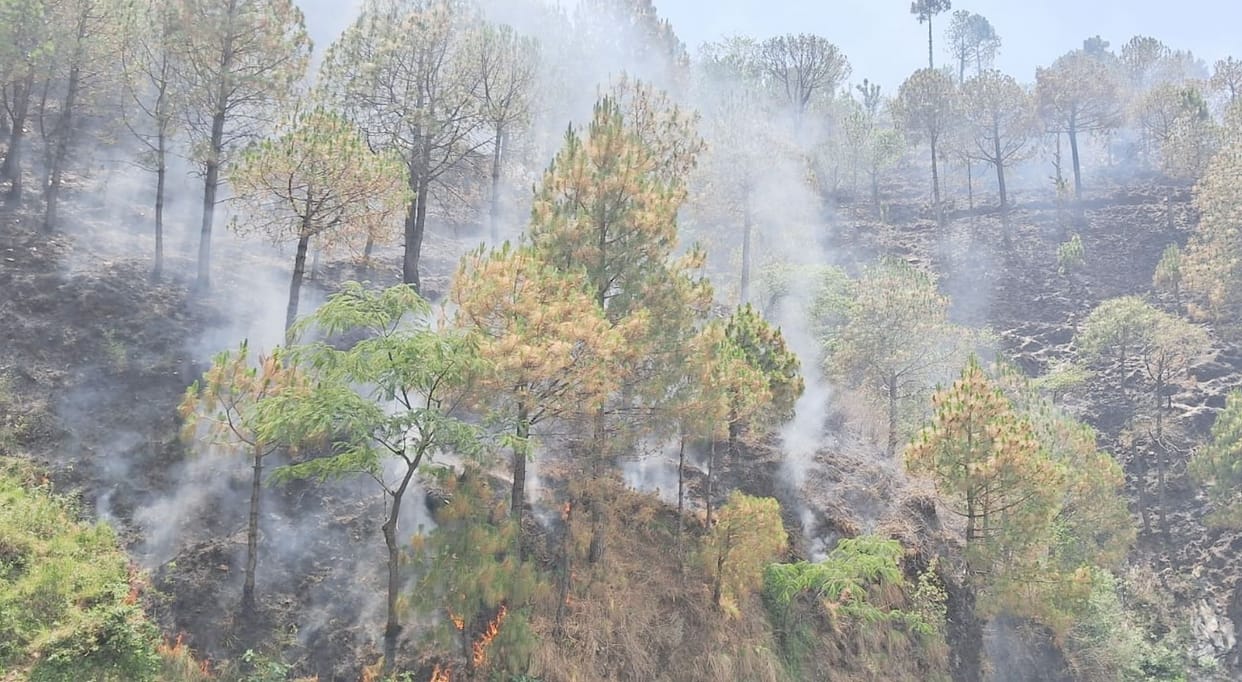 Half a dozen forests of Chamba Forest Division kept burning all night long
