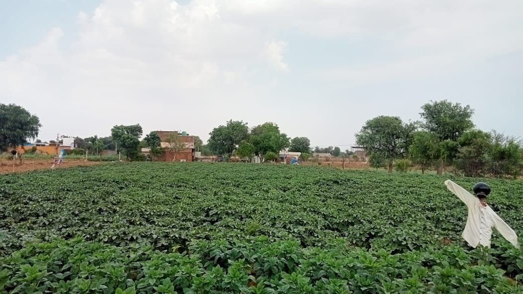 nanotechnology capable of meeting global food production
