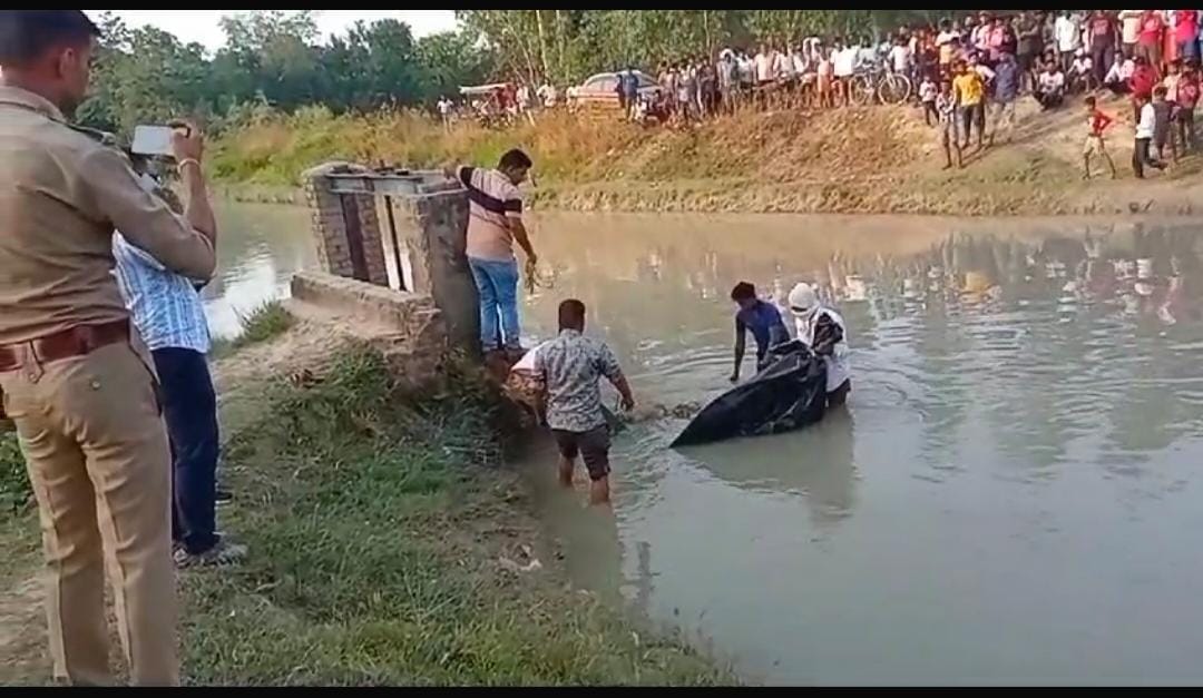 A rotten carcass of a tiger found in a canal