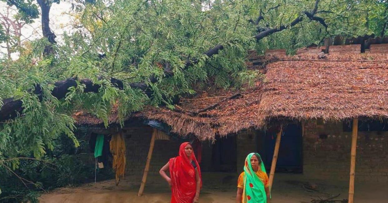 Trees fell due to storm, seven power substations closed