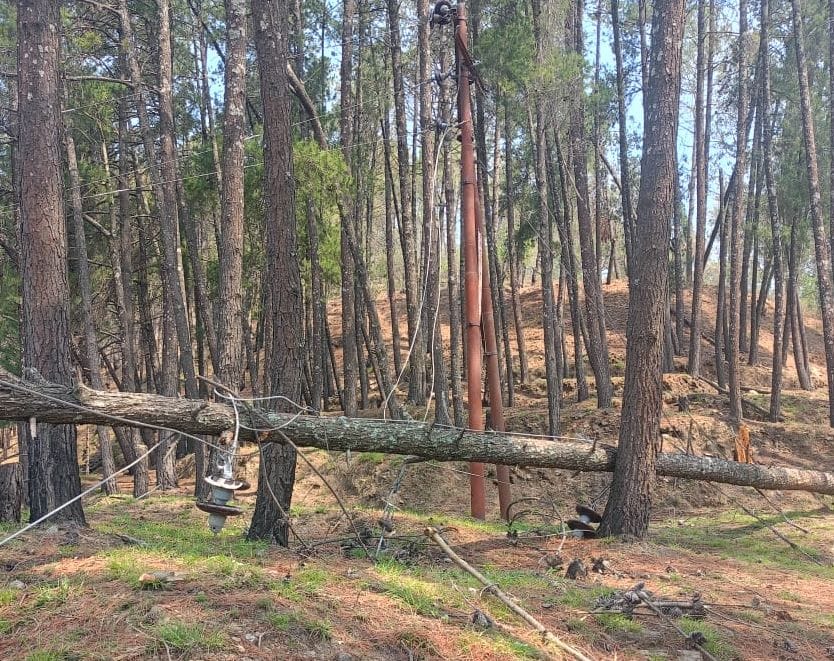 Tree fell on power line in Barakot, supply disrupted