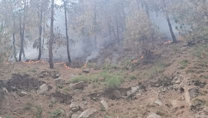 Forest Fire In the last 24 hours fire broke out at 41 places in the forests of Himachal