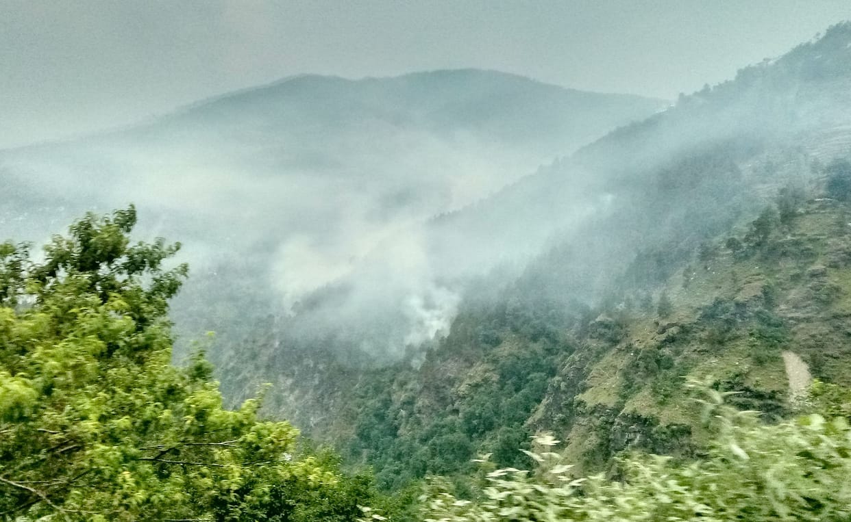Fire broke out in Khakhadi forest, 45 pine trees burnt, forest wealth worth lakhs reduced to ashes.