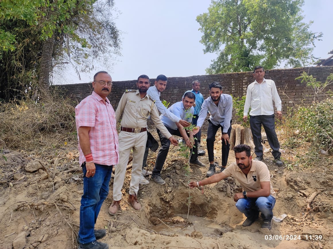 plantion organised in kalaambh