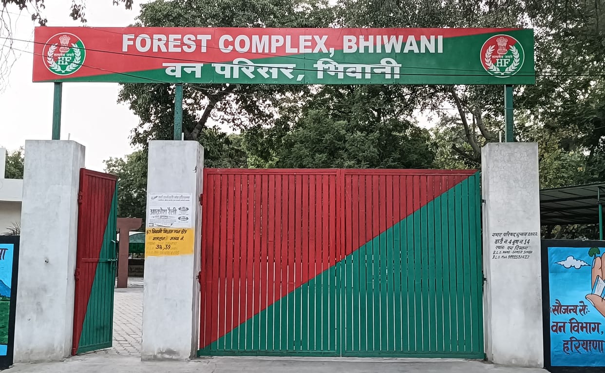Forest department will plant 1,09,760 saplings in Bhiwani district