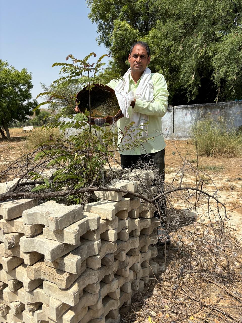 1.10 lakh trees planted in two districts in collaboration with Balaji Janhit Sangathan