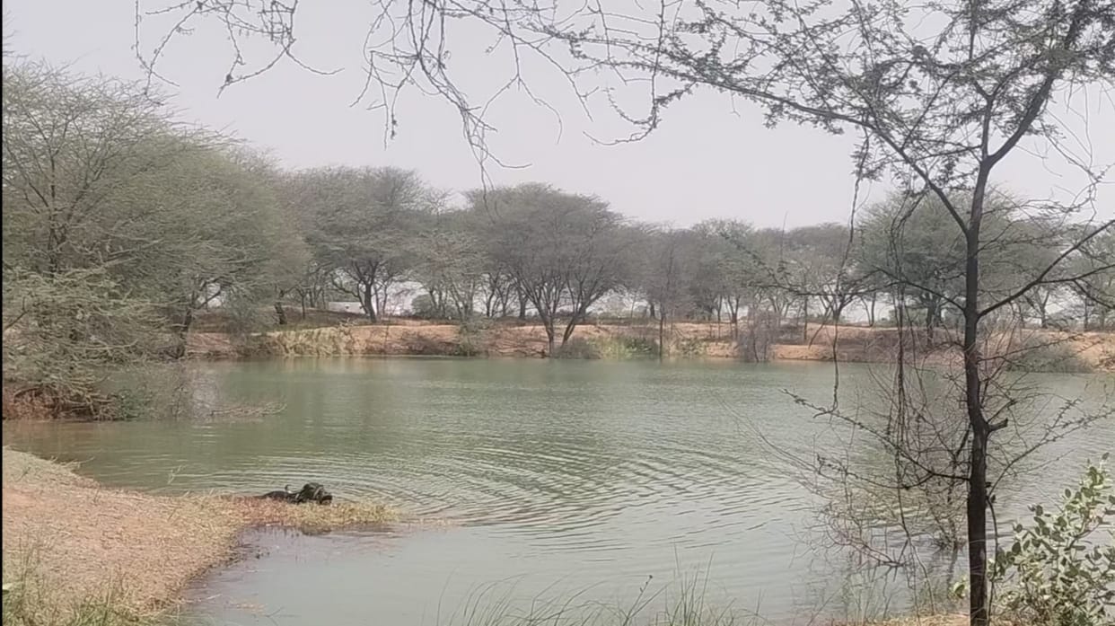 17 ponds of Satnali area filled with canal water, hope of improvement in ground water level