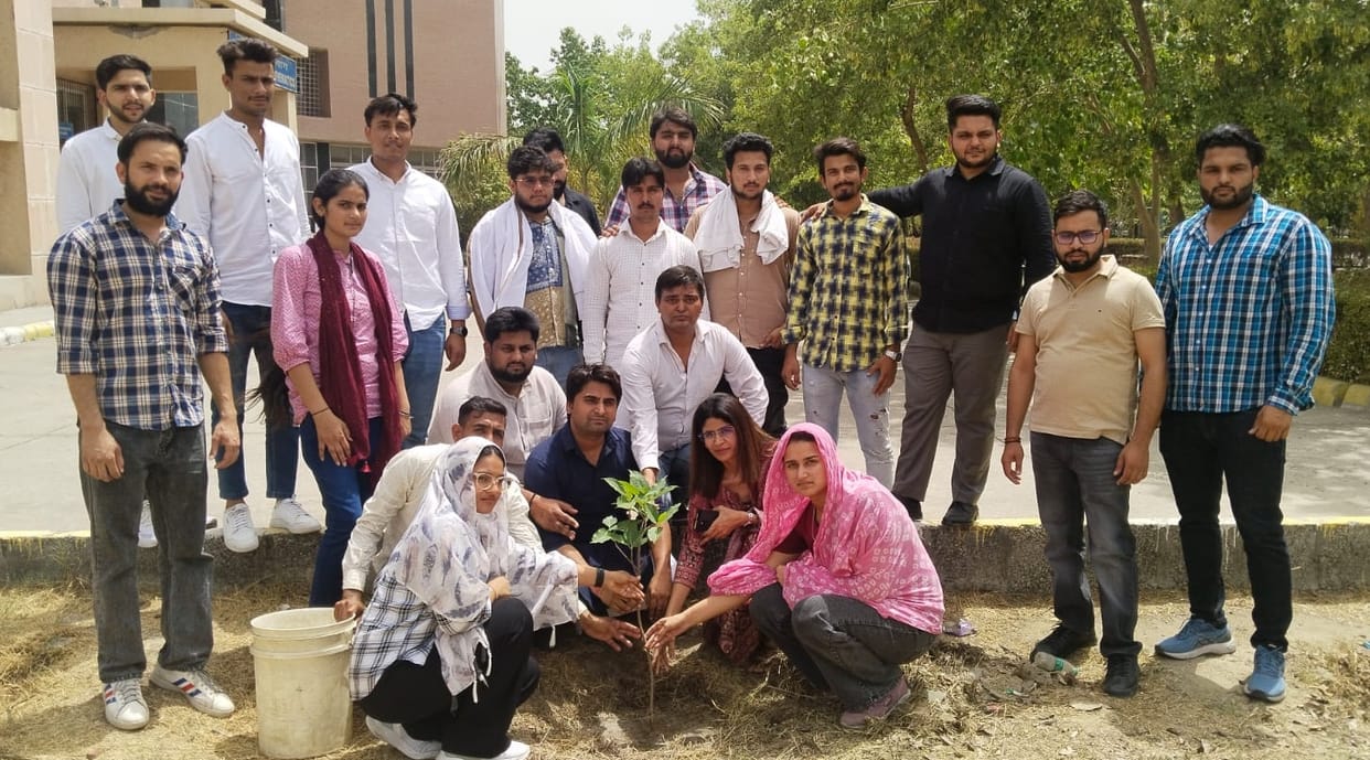 An effort organization celebrated Environment Day by planting trees.