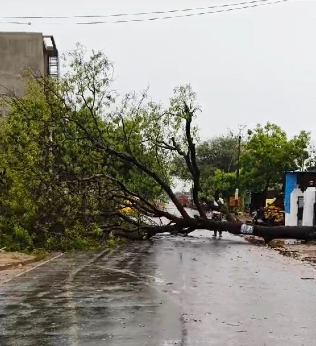 Rain gave relief from heat, storm brought trouble