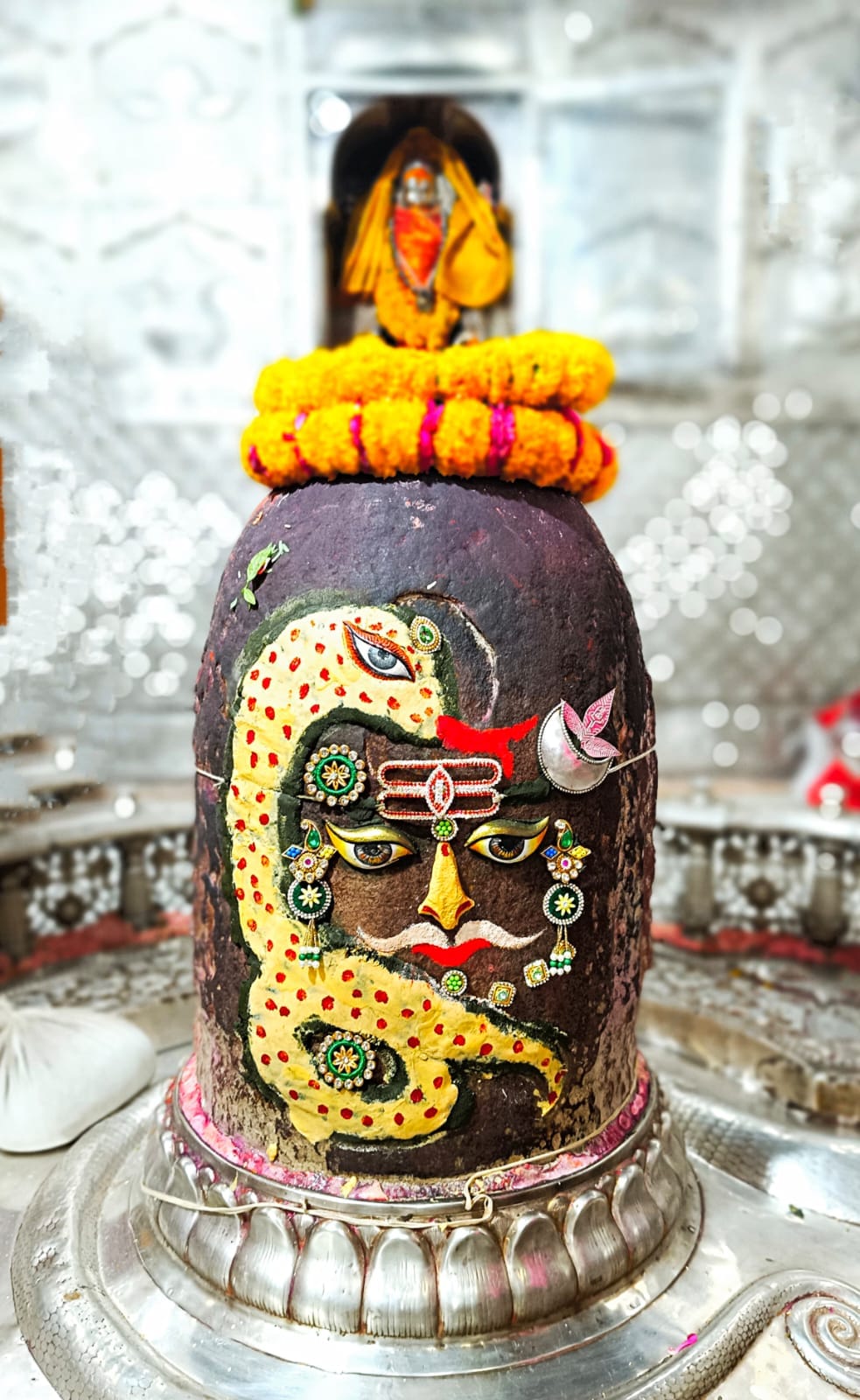Ujjain News: Baba Mahakal decorated with snake in  Bhasm aarti