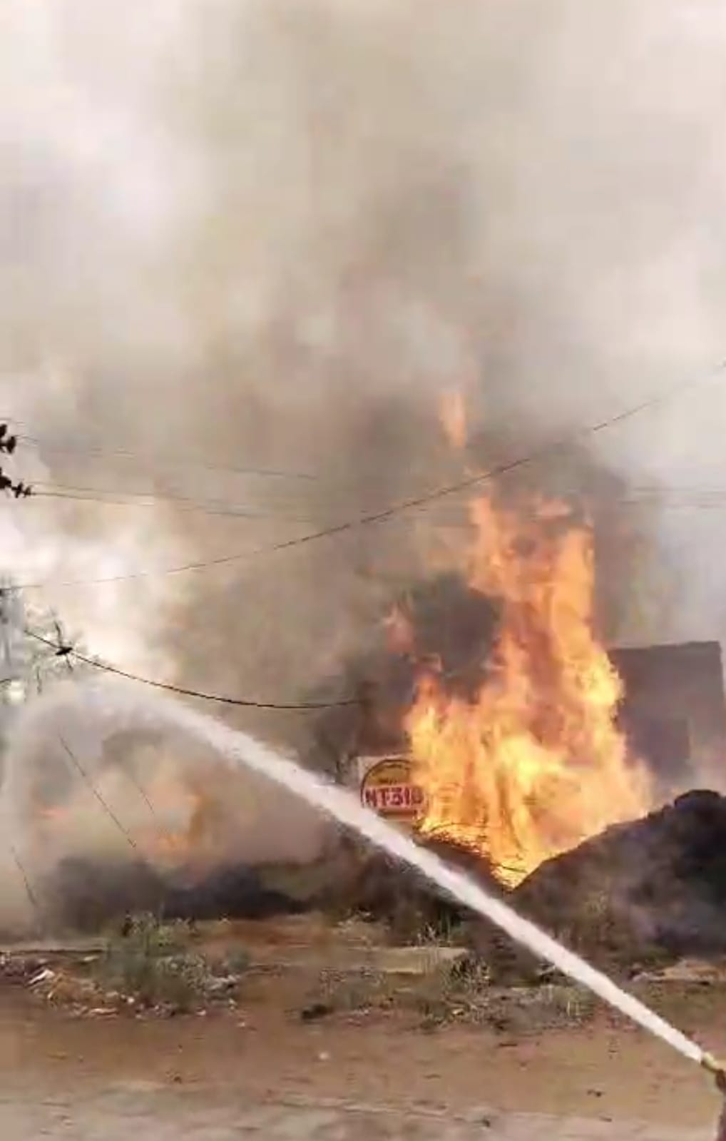 Fire broke out in Deroli Ahir village, many trees burnt and fuel of 50 people burnt to ashes.