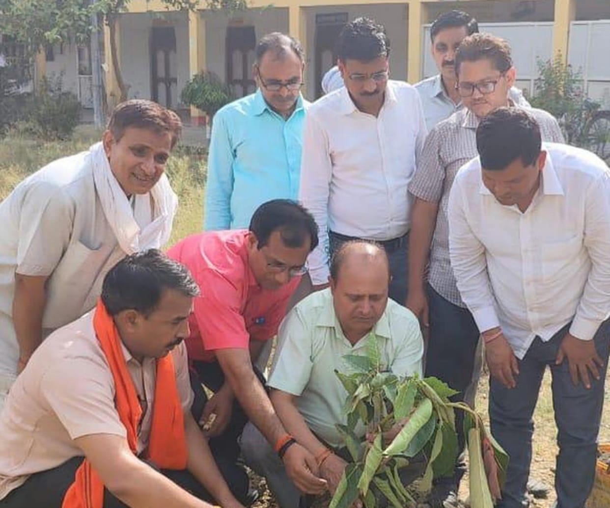 Organizations planted trees for environmental balance