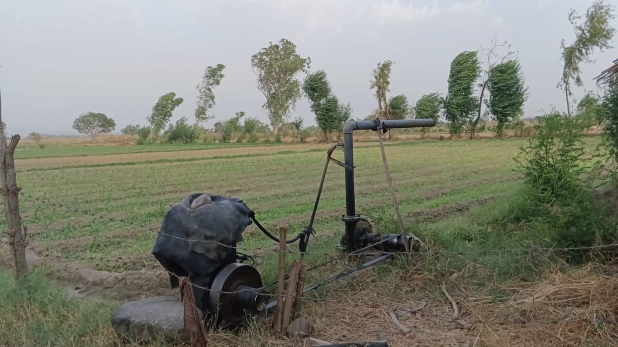 Farmers forced to irrigate crops with the help of diesel engines