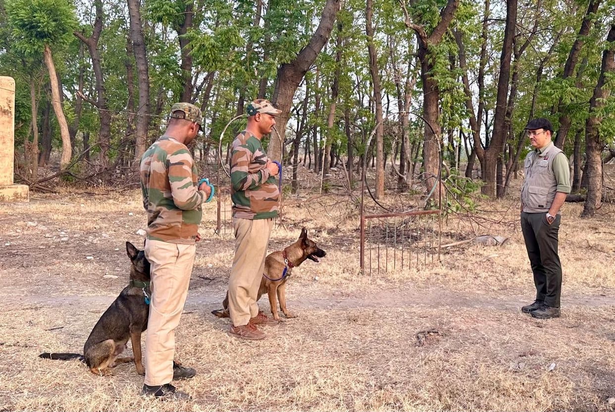 Sniffer dogs will play an important role in the protection of wild animals
