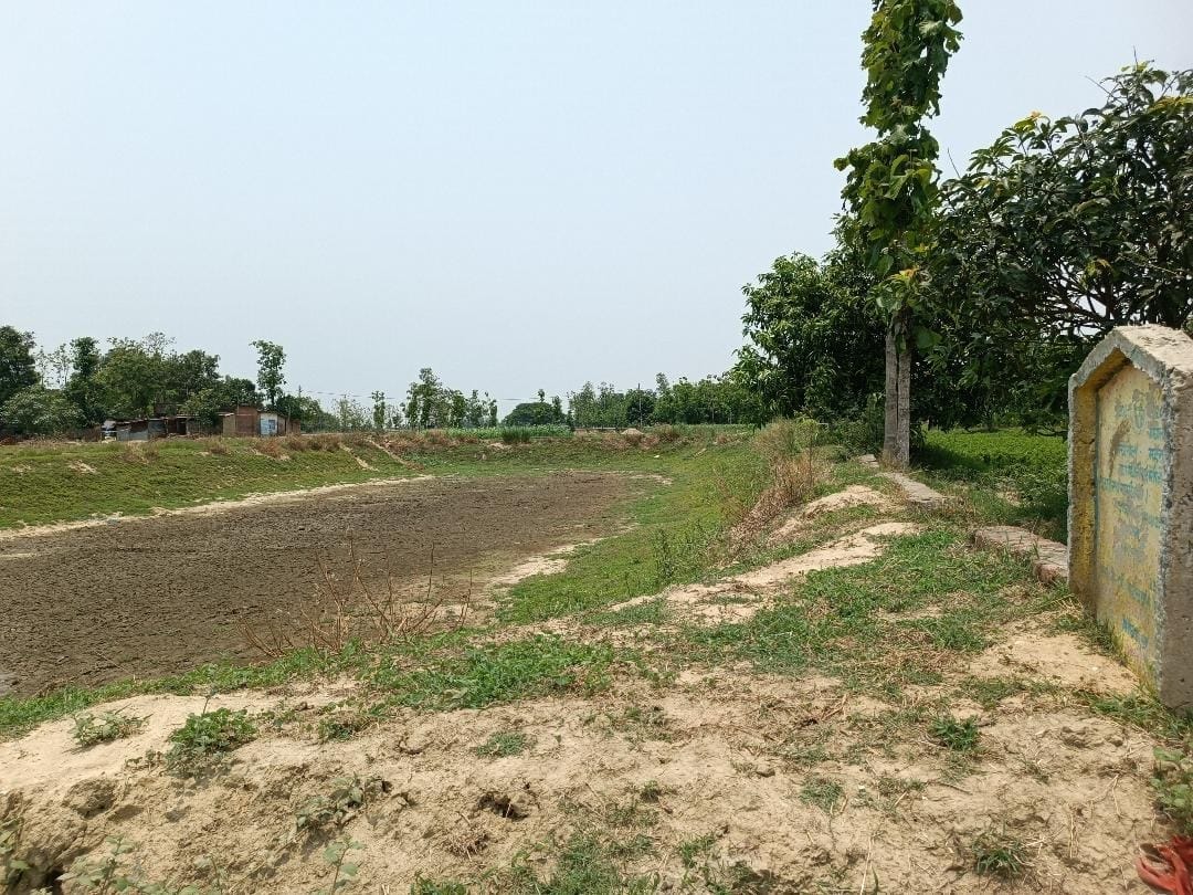 25 lakh saplings were planted...most dried up due to lack of maintenance