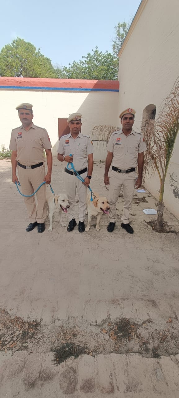 Drug smugglers will not be able to escape from Rambo and Sheru.