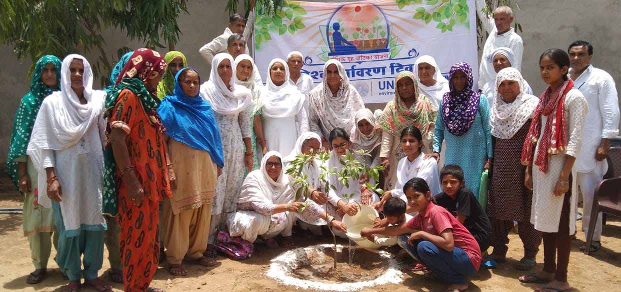 Brahma Kumari members planted trees