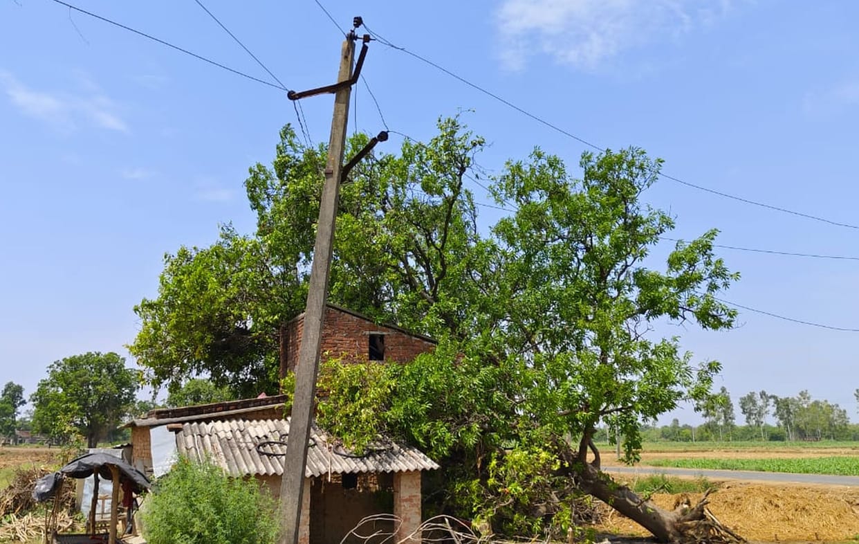 Trees fell in the storm, electricity system collapsed due to breaking of poles