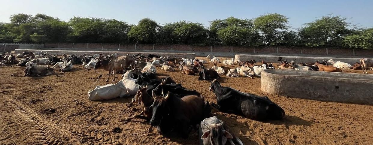 Now there is a ban on registration of Nandishala, Cow Service Commission forgot to list and give grant.