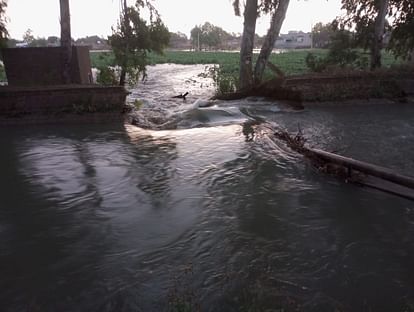 Trees Fell In The Storm, Fields Filled With Water Due To Canal Breaking ...