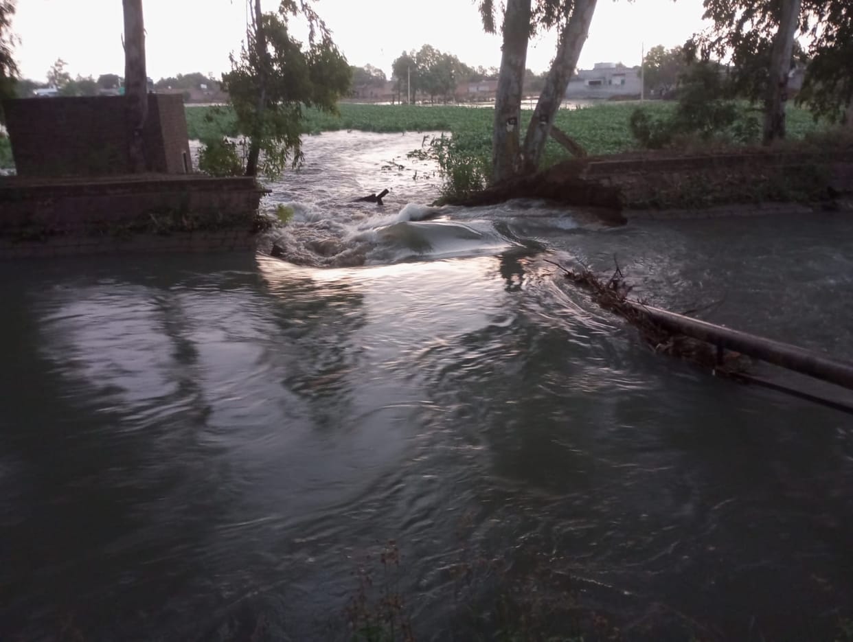 Trees fell in the storm, fields filled with water due to canal breaking