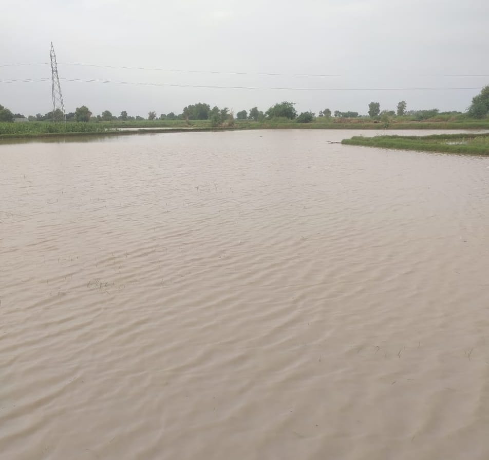 Fear of waterlogging in Bahlaba fields during rainy season, appeal to CM for solution