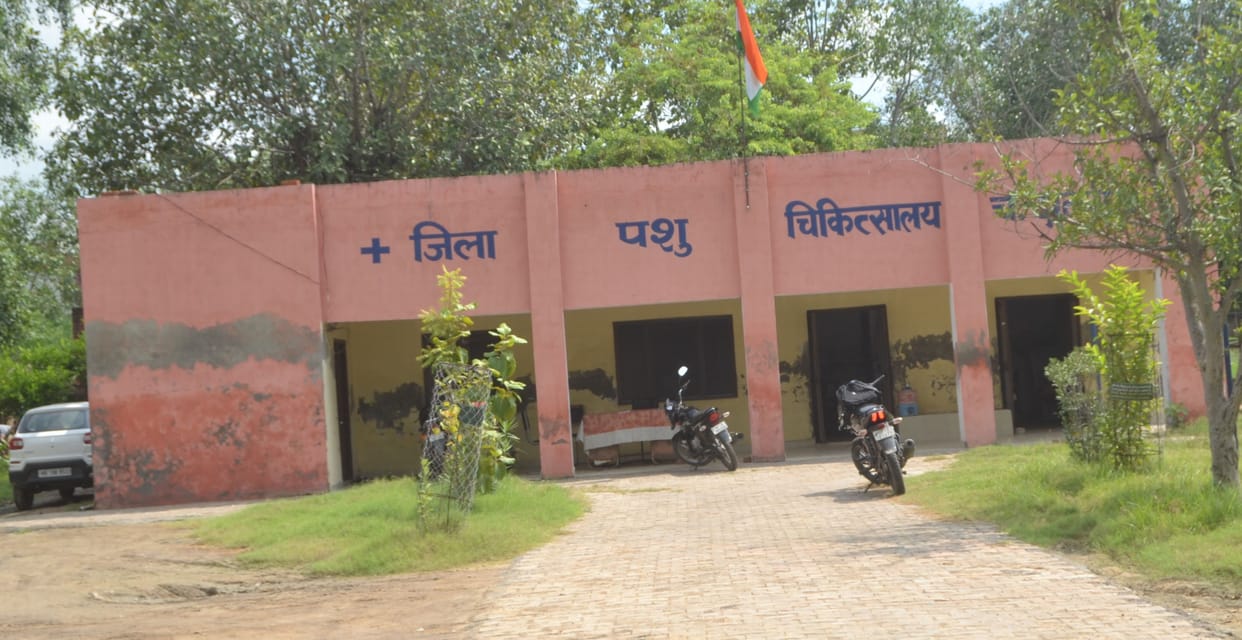 Awaiting budget for construction of veterinary polyclinic