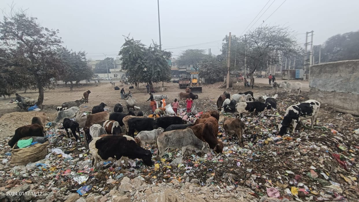 Dumping point closed after protest by people of JJ Colony, relief received