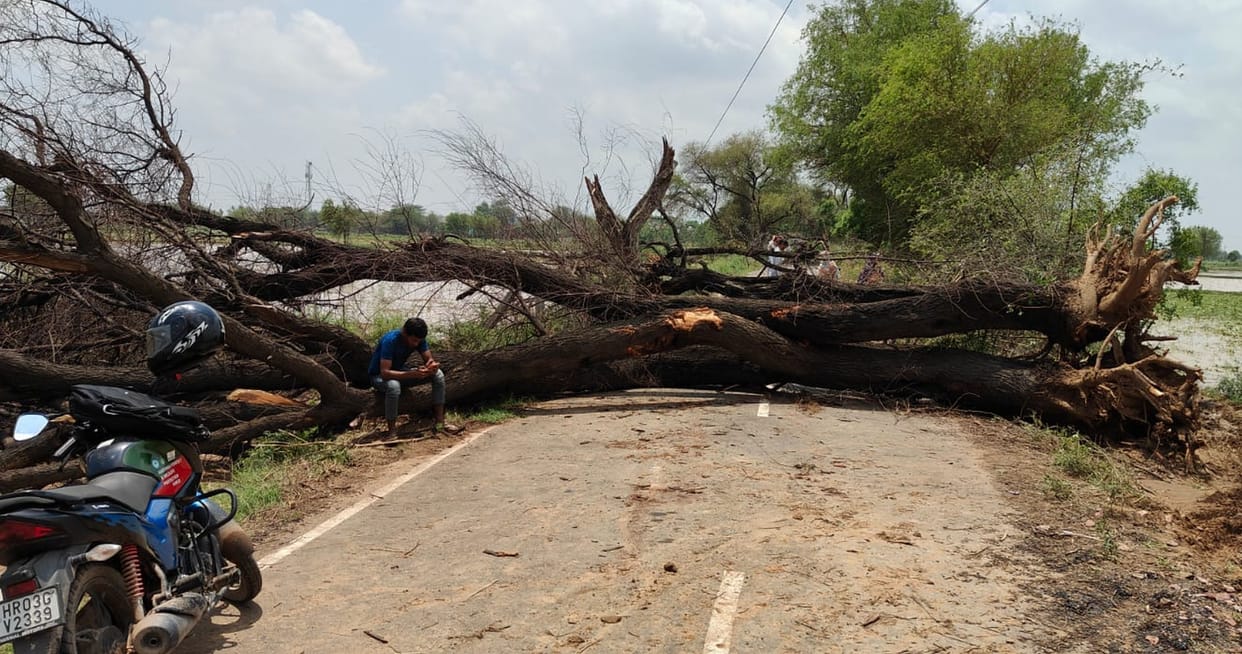 222 trees, 152 poles and one transformer fell, the district remained immersed in darkness throughout the night.