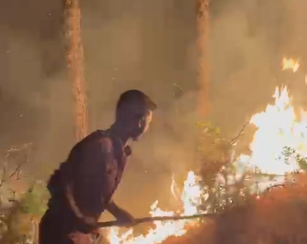 On the fire that broke out in the forest of Kuthad