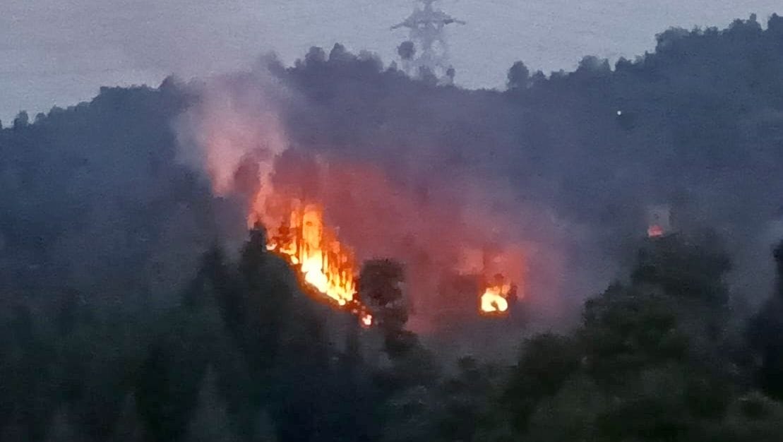Anarchist elements set fire to the forest