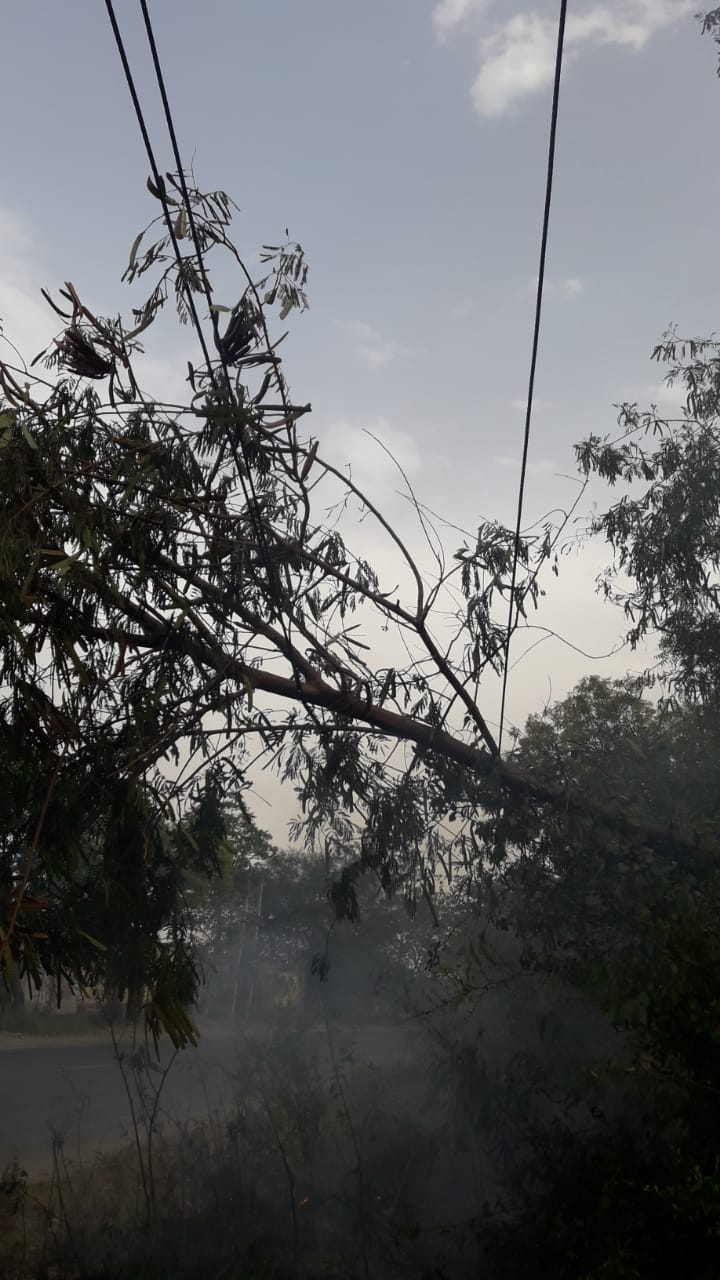 22 trees, 10 poles broken, power cut for 5 hours