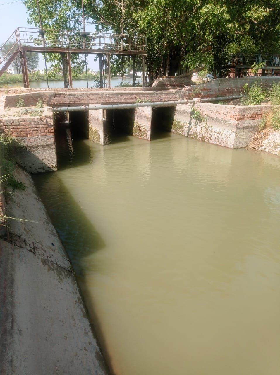 872 cusecs of water reached Sundar and Jui canal