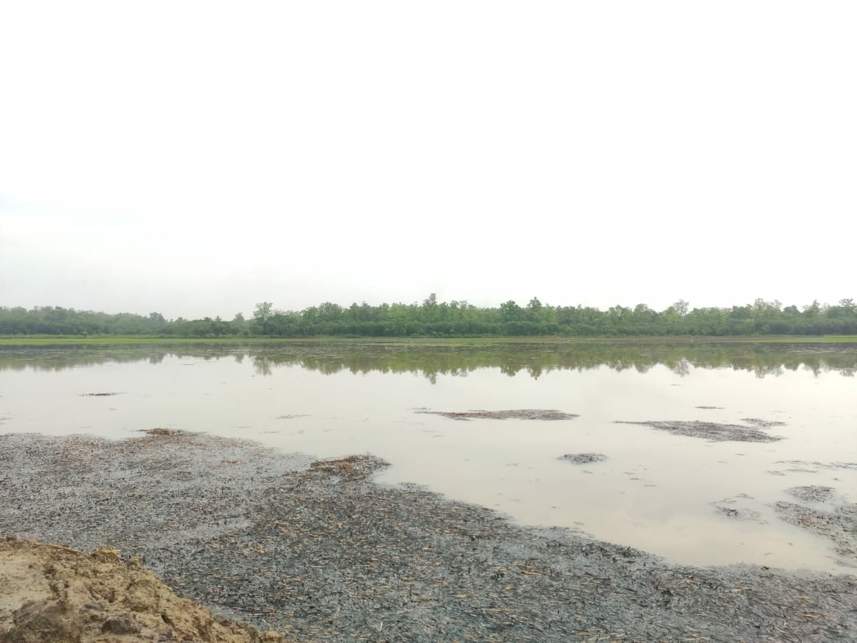 If we are not careful even now, Taravat will disappear from the Terai area too.