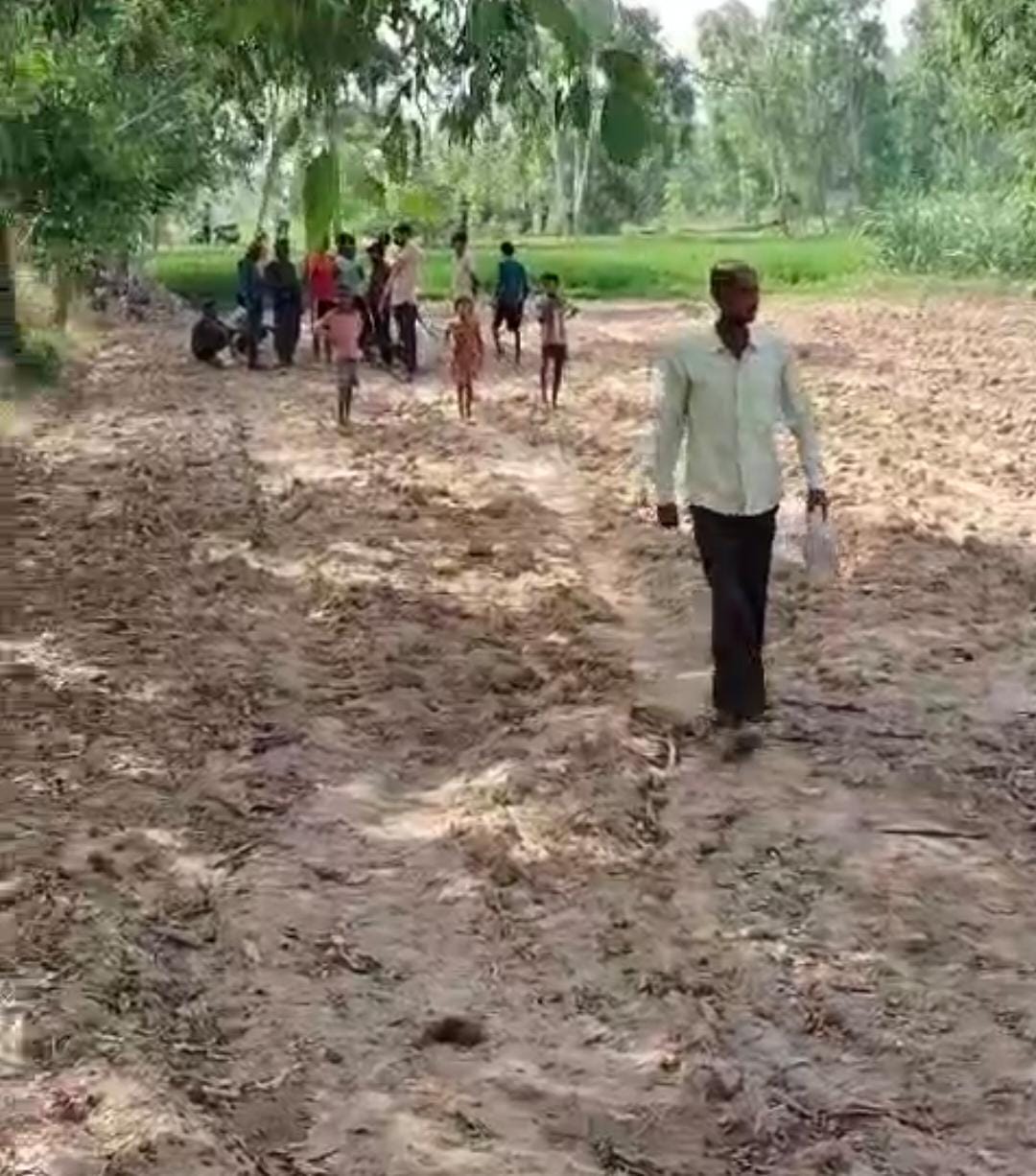 Tiger sets up camp in sugarcane field, causes panic