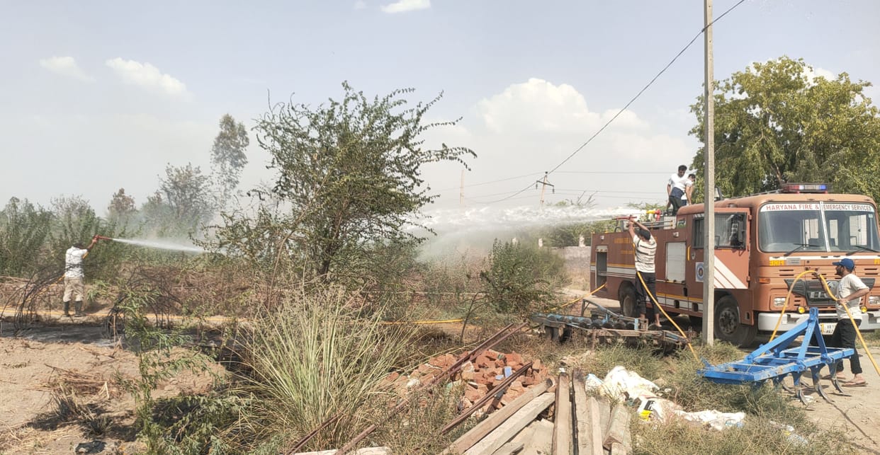 fire in cattle dairy